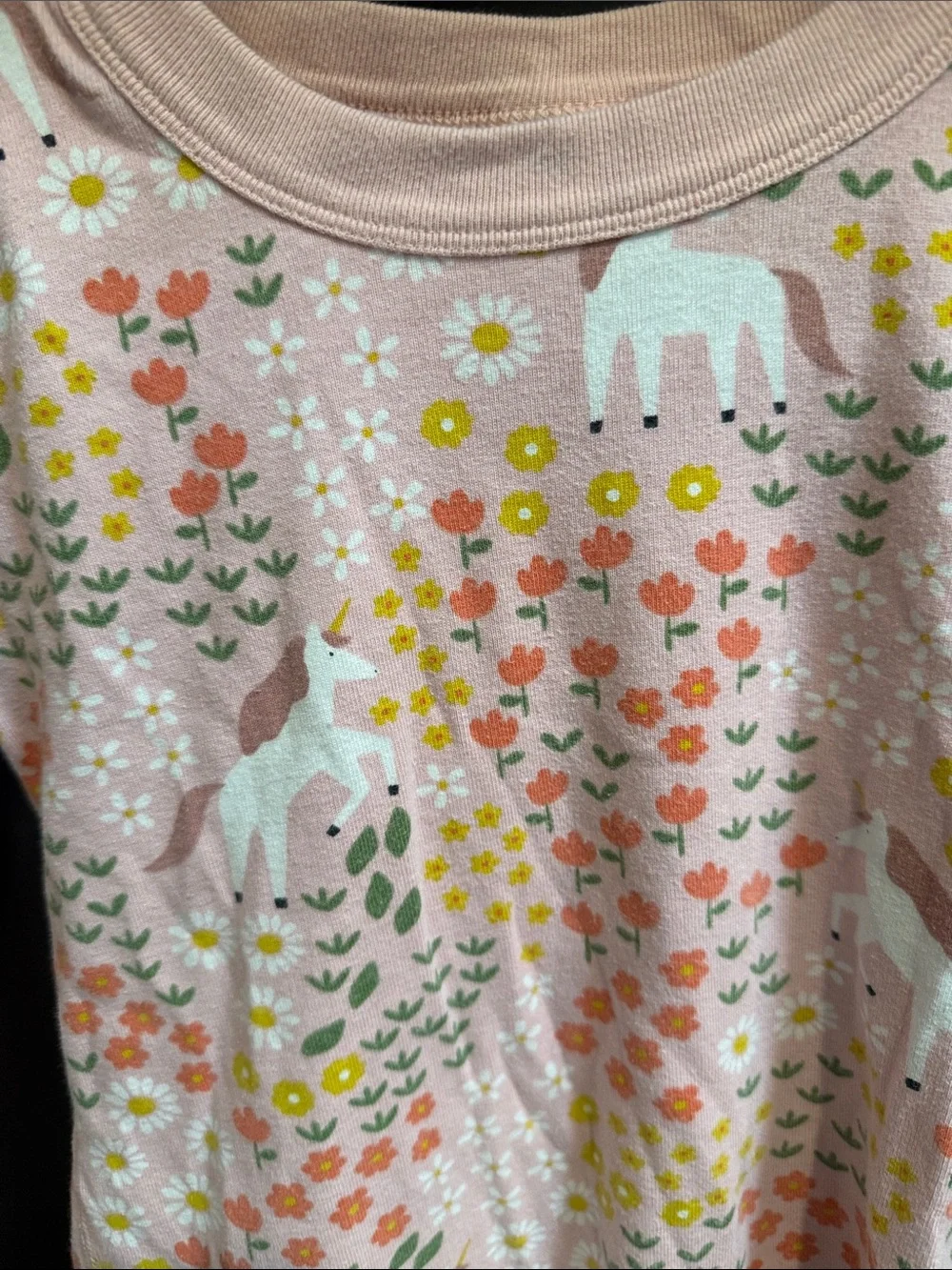 Hanna Andersson Pink Floral & Animal Print Pajama Set